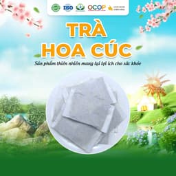 Trà Hoa Cúc Cỏ Ngọt Thanh Mát Cho Ngày Mới Thư Thái Hộp 30 Túi Lọc 90gram 2