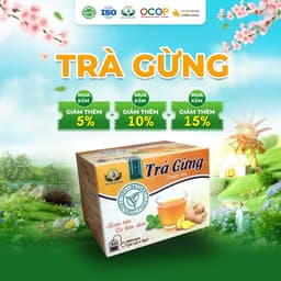 Trà Gừng Siêu Thị Thiên Nhiên Hộp 30 Túi Lọc x 3gram 1