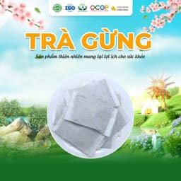 Trà Gừng Siêu Thị Thiên Nhiên Hộp 30 Túi Lọc x 3gram 2