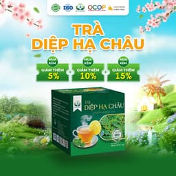 Trà Diệp Hạ Châu Cỏ Ngọt Thanh Mát Cho Ngày Mới Thư Thái Hộp 30 Túi Lọc 90gram 1