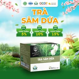 Combo 2 Hộp Trà Sâm Dứa  Hộp 30 Túi Lọc - Siêu Thị Thiên Nhiên 1