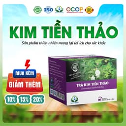 Trà Kim Tiền Thảo Mix Cỏ Ngọt Thơm Ngon Dễ Uống Thanh Mát Cho Ngày Thư Thái Hộp 30 Túi Lọc 1