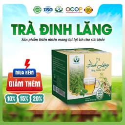 Trà Đinh Lăng Mix Cỏ Ngọt Thơm Ngon Dễ Uống Thanh Mát Cho Ngày Thư Thái Hộp 30 Túi Lọc Tea 1