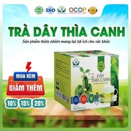 Trà Dây Thìa Canh Hộp 30 Gói Túi Lọc Siêu Thị Thiên Nhiên 1