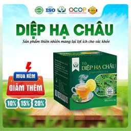 Trà Diệp Hạ Châu Mix Cỏ Ngọt Thơm Ngon Dễ Uống Thanh Mát Cho Ngày Thư Thái Hộp 30 Túi Lọc 1