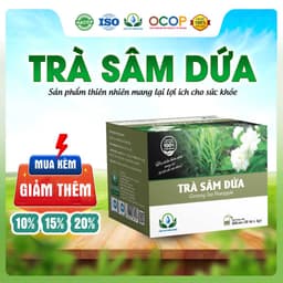 Trà Sâm Dứa Giải Khát Nhanh Hộp 30 Túi Lọc Siêu Thị Thiên Nhiên 1