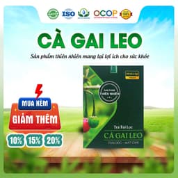 Trà Cà Gai Leo Mix Cỏ Ngọt Thơm Ngon Dễ Uống Thanh Mát Cho Ngày Thư Thái Hộp 30 Túi Lọc 1