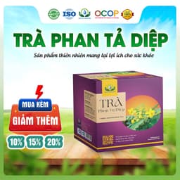 Trà Phan Tả Diệp Mix Cỏ Ngọt Thơm Ngon Dễ Uống Thanh Mát Cho Ngày Thư Thái Hộp 30 Túi Lọc 1