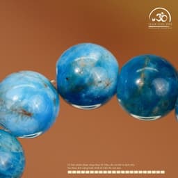 Ngọc Đan Tâm - Vòng Tay Đá Apatite 6mm 2A - Mệnh Thuỷ & Mệnh Mộc 7