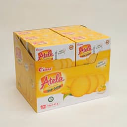 Khay 12 hộp bánh lễ Tipo , Cosy , Orion , Atela 6