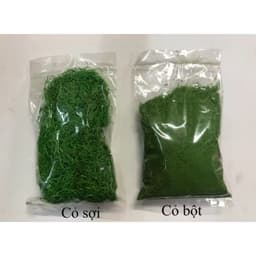 1 Bịch Cỏ Sợi / Cỏ Bột Mini Rêu Xanh Trang Trí , chậu cây 1