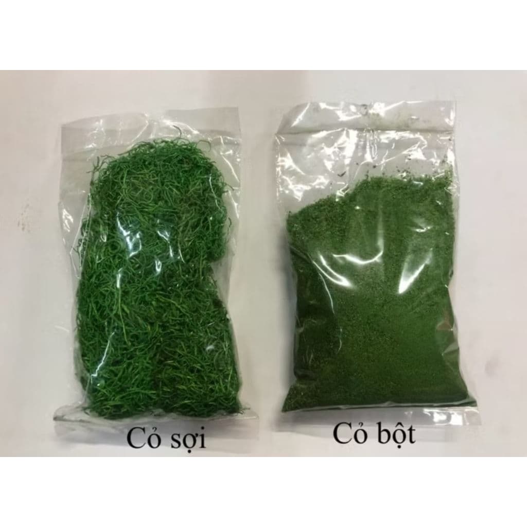 1 Bịch Cỏ Sợi / Cỏ Bột Mini Rêu Xanh Trang Trí , chậu cây