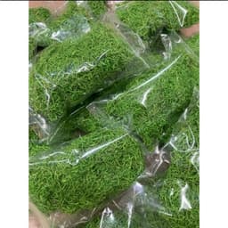 1 Bịch Cỏ Sợi / Cỏ Bột Mini Rêu Xanh Trang Trí , chậu cây 3