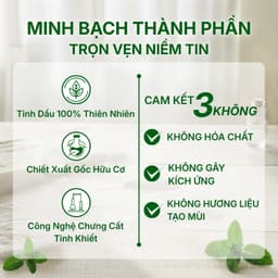 Tinh Dầu Treo Xe Ô Tô, Khử Mùi Thơm Phòng ABURA 10ml Treo Thơm Nhà, Thơm Tủ Quần Áo 8