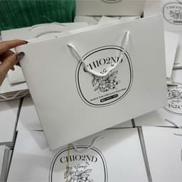 Túi giấy Chio làm quà tặng size 35 đưng vừa tất cả size túi xách 1