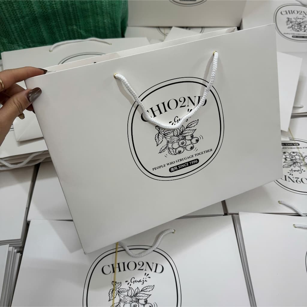 Túi giấy Chio làm quà tặng size 35 đưng vừa tất cả size túi xách