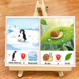 Thẻ Flash EVON BABY dạy bé tập nói - Con vật ở đâu 8