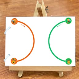 Thẻ Flash EVON BABY dạy bé tập nói - montessori phát triển và cân bằng não trái não phải 5