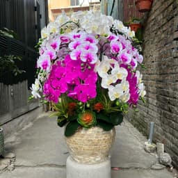 Cành hoa Lan hồ điệp giả cành 9bông cao su non cánh ướt 4