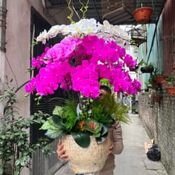 Cành hoa Lan hồ điệp giả cành 9bông cao su non cánh ướt 6