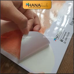 Decal Dán Kính PET SHOP Trang Trí Cửa Hàng Thú Cưng Chống Nước, Bền Đẹp - PETS08 - Hana Decals 8