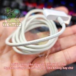 [ZIN] Cáp Sạc 30 Pin Thay Thế cho Máy iPhone 4/ iP 4S - iPad 1/2/3 - Máy Nghe Nhạc iPod BÓC MÁY Đời Cũ Chính Hãng 7