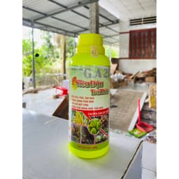 SIÊU ĐẬU TRÁI DỪA ĐẬU TRÁI, SAI QUẢ, TRĨU BUỒNG, CHỐNG RỤNG TRÁI NON CHAI 500ML 4