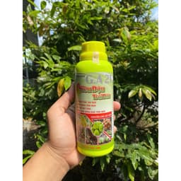 SIÊU ĐẬU TRÁI DỪA ĐẬU TRÁI, SAI QUẢ, TRĨU BUỒNG, CHỐNG RỤNG TRÁI NON CHAI 500ML 3
