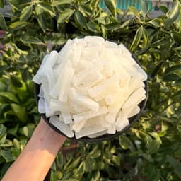 Mứt Bí Đũa Ngọt Nhâm Nhi Trà Tết, Bí Đũa Trắng Hình Que Sợi Dài 3