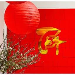 Set 100 tờ giấy nhung đỏ trơn, thẻ giấy dán tường, treo mai, đào trang trí Tết 9