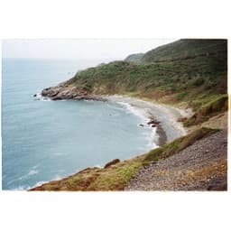 Kodak Color Plus 200 135 | Số khung 24 hoặc 36 exp | IOS 200 4