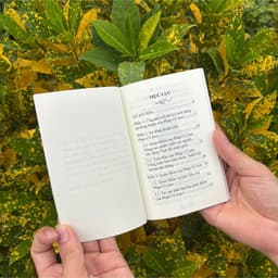 Sách - Sự Đồng Thuận Của Pháp Cổ Sơn - Hòa Thượng Thánh Nghiêm - Vĩnh Nghiêm Books 4