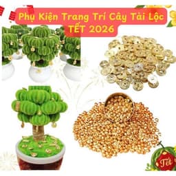 Set Tự Làm Cây Tài Lộc Handmade Bằng Kẽm Nhung 2