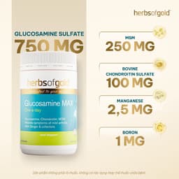 Viên Uống Bổ Xương Khớp Herbs of Gold Glucosamine MAX 1500mg – Hỗ Trợ Khớp Khỏe, Giảm Đau Nhức (Úc) - 90 viên 2