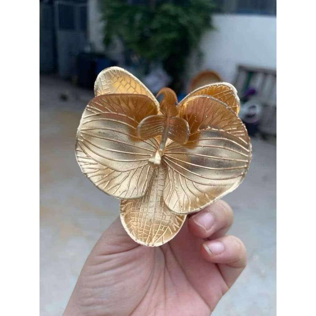Combo 10 Hoa Lan Đồng Trang Trí Giỏ Quà Tết