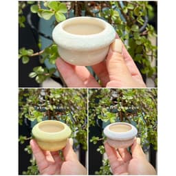 [mieugarden] Chậu men rạn form tròn nhiều mẫu size mini màu pastel trồng sen đá mini, lithops, cono 3
