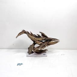 RF Aquarium Limited | Layout Cá Voi Nghệ Thuật Điêu Khắc Gỗ Lũa Đẳng Cấp Cho Bể Thuỷ Sinh 3