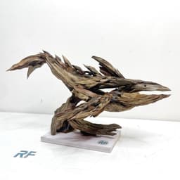 RF Aquarium Limited | Layout Cá Voi Nghệ Thuật Điêu Khắc Gỗ Lũa Đẳng Cấp Cho Bể Thuỷ Sinh 5