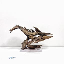 RF Aquarium Limited | Layout Cá Voi Nghệ Thuật Điêu Khắc Gỗ Lũa Đẳng Cấp Cho Bể Thuỷ Sinh 8