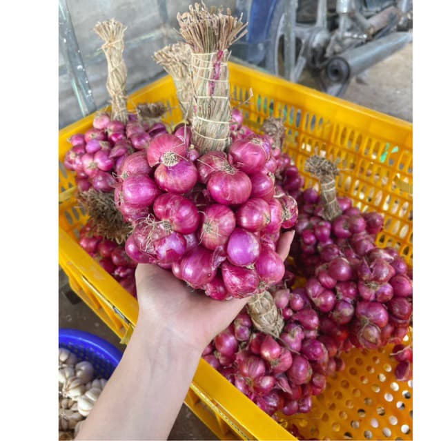 1Kg(Hành Chùm Tím-HànhVĩnhChâu)Ðặc Sản Sóc Trăng