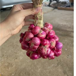 1Kg(Hành Chùm Tím-HànhVĩnhChâu)Ðặc Sản Sóc Trăng 4