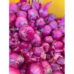 1Kg Hành Ấn Độ Khô ,Sạch Vỏ Củ Tròn Đẹp 4
