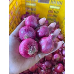 1Kg Hành Ấn Độ Khô ,Sạch Vỏ Củ Tròn Đẹp 3