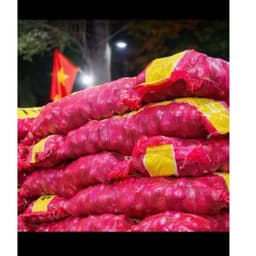 1Kg Hành Ấn Độ Khô ,Sạch Vỏ Củ Tròn Đẹp 5