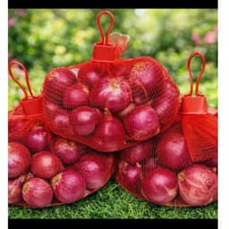 1Kg Hành Ấn Độ Khô ,Sạch Vỏ Củ Tròn Đẹp 2