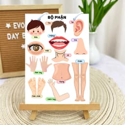 Thẻ phát triển kỹ năng giao tiếp EVON - Giúp Bé Tập Nói Sớm - "TỪ VỰNG BAN ĐẦU" 9