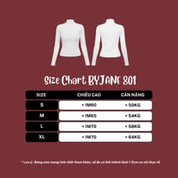 Áo Thun Nữ Dài Tay Ôm Body Cổ 5cm Chất Thun Min Co Giãn 4 Chiều Mềm Mịn BYJANE – 801 3