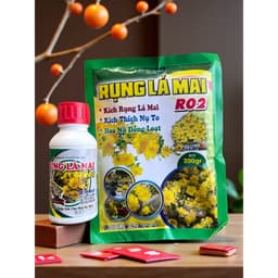 Thuốc Rụng Lá Mai RO2 – Kích Nụ To, Hoa Nở Đều, Mai Vàng Rực Rỡ Đón Tết 2