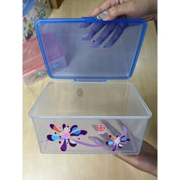 Hộp Nhựa Trong Suốt Việt Nhật 6726, Hộp Lạnh Đựng Thực Phẩm Nắp Kín Hơi - DOMUS 5