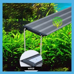 Máy Vệ Sinh Bể Cá BAOYU BY-X20/X25 6in1: Hút Cặn, Rêu, Sỏi, Vệ Sinh Cát-Neo 6